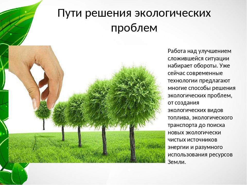 Как бороться с экологическими: найдено 79 изображений