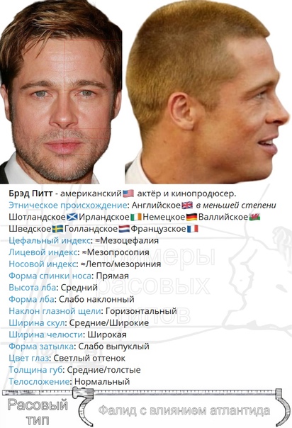 Антропометрические параметры и расовый тип Арсена Маркаряна Архив предыдущих пос