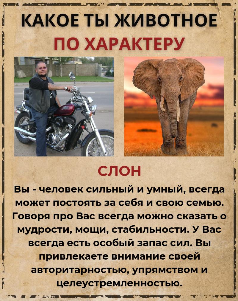 Андрей Артемьев | Димитровград