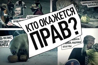 Гадание перед выборами: колдуны и животные предсказали, кто станет президентом США