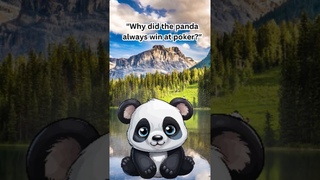 Cute and Funny Panda Jokes! Part 4  #funny #comedy #shorts