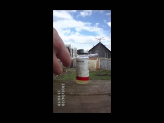 Вакцинация голубей.