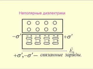 Физика - Диэлектрики в электрическом поле