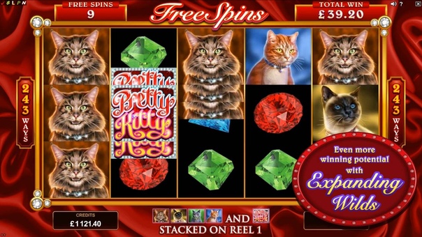 Pretty Kitty Game Promo