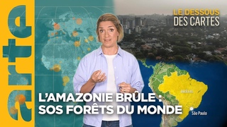 LAmazonie brle : sos forts du monde | L'essentiel du Dessous des Cartes | ARTE