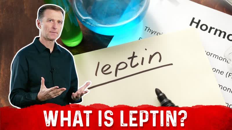 What is Leptin Explained