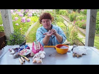 О посадке луковичных осенью. Ботанический квартирник