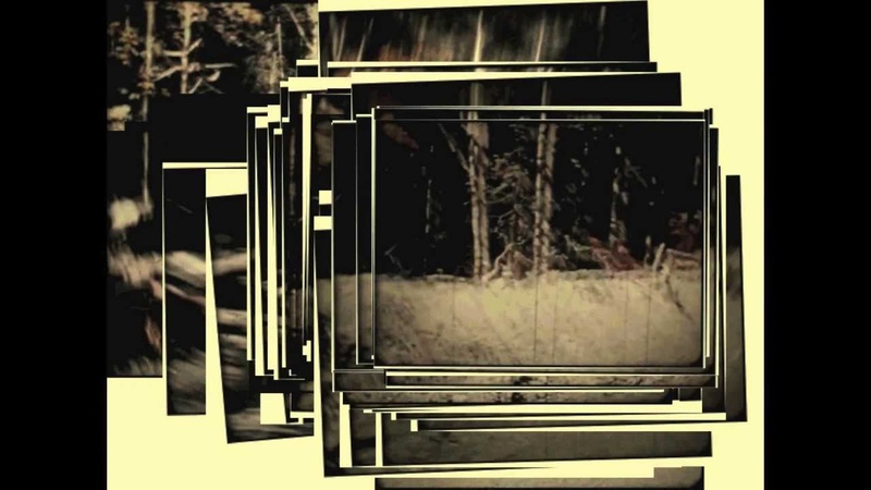 Patterson Gimlin Bigfoot film 1967, the best stabilization of all 5 parts of the