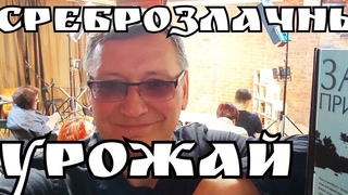 От утра и от полудняПод поющий в небе гром,Словно ведра, наши будниОн наполнит молоком.