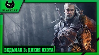 Ведьмак 3: Дикая охота. Закрываем вопросики и сайд квесты. ( или как - то так ) №3