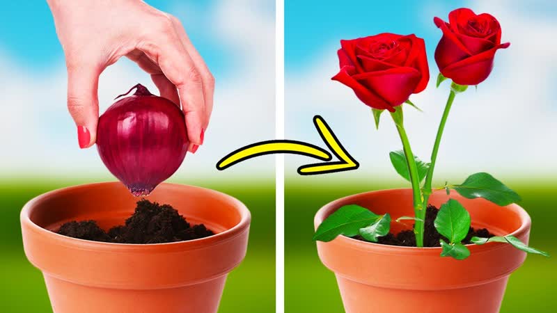 INCREDIBLE GARDENING TIPS AND GROWING HACKS FOR PLANT