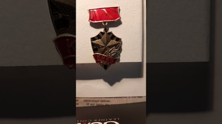 Soviet badges 19