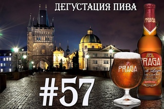 Дегустация пива #57 - чешское пиво Praga Dark Lager! 18+