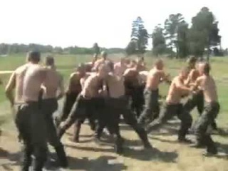 Сибирский кулак Боевая система курских кметей 11
