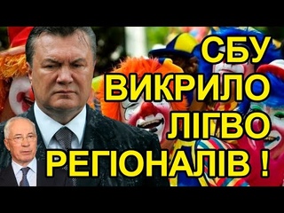 СБУ викрило лігво регіоналів, прізвища шокували, брехня Кремля, Зміїний, ганьба для росіян.