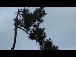 Hante. 'This Morning of September' Full HD