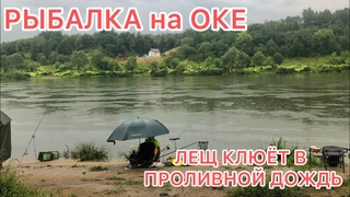 РЫБАЛКА на ОКЕ / ЛЕЩ КЛЮЁТ и ОЧЕНЬ БОЙКИЙ вПРОЛИВНОЙ ДОЖДЬ